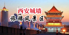 白虎嫩b美女自慰到高潮中国陕西-西安城墙旅游风景区